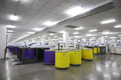 天之華集團獲授國家渦流紡紗線產品開發基地，推動紡織產業創新升級